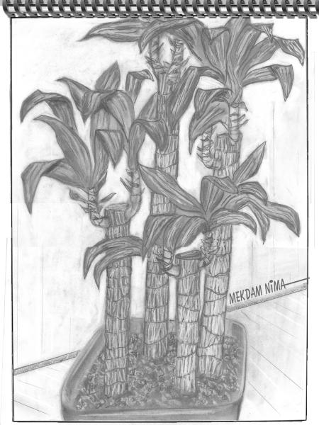 Oil Painting On Canvas - Graphite Still Life